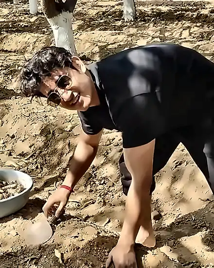 Harsh Chambial sowing turmeric in the field