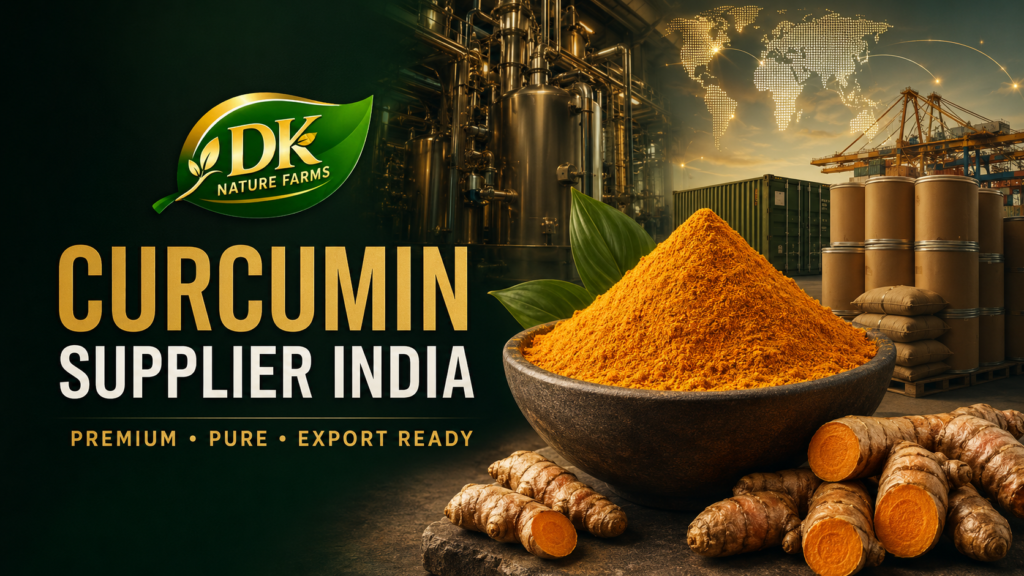 Curcumin supplier India guide with turmeric roots, powder and farm-grown haldi