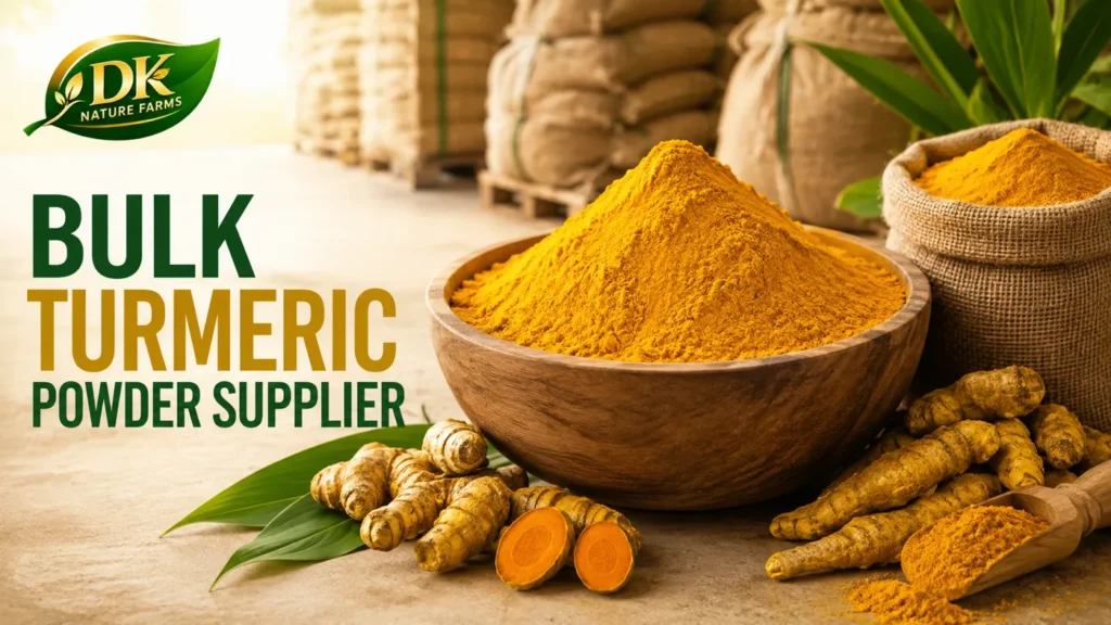 Bulk turmeric powder supplier packing farm-grown Himachal haldi