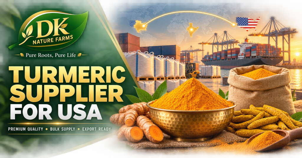 Turmeric Supplier for USA 2026 | DK Nature Farms