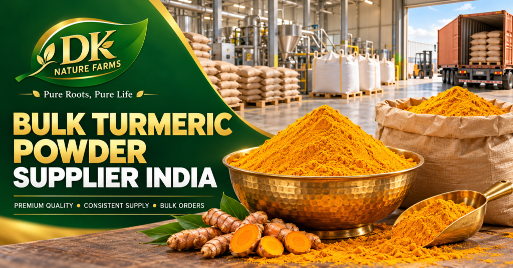 Bulk Turmeric Powder Supplier India 2026 | DK Farms